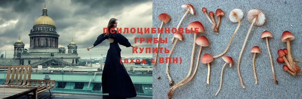 mdpv Алзамай