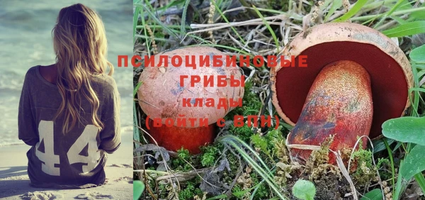 винт Алексеевка