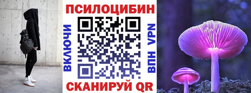 darknet Telegram omg рабочий сайт Апрелевка Псилоцибиновые грибы Psilocybe